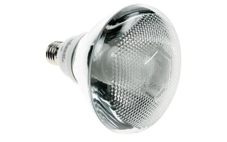 Bombilla de bajo consumo PAR38 23W - 240V - E27 - 2700K
