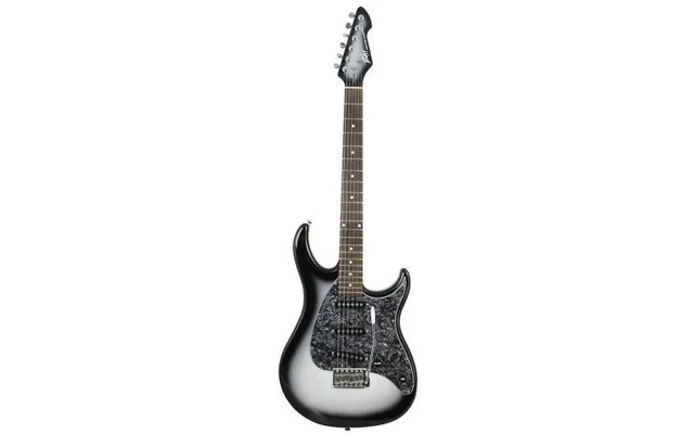 Peavey Raptor Custom SilverBurst