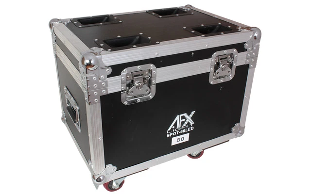 AFX Lighting FL2120