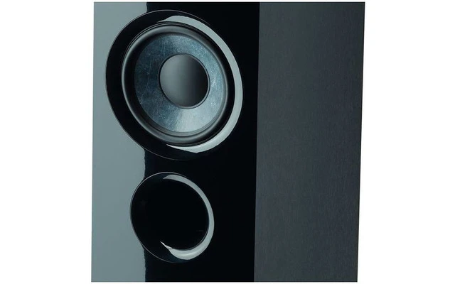 Focal Chora 816