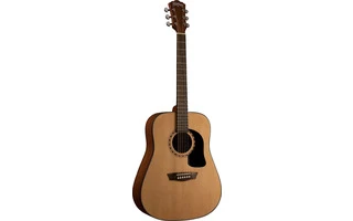 Washburn AD5