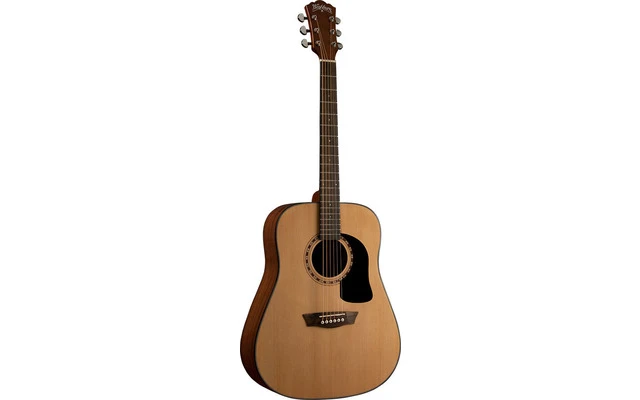 Washburn AD5