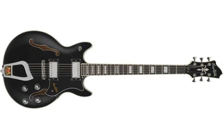 Hagstrom Alvar