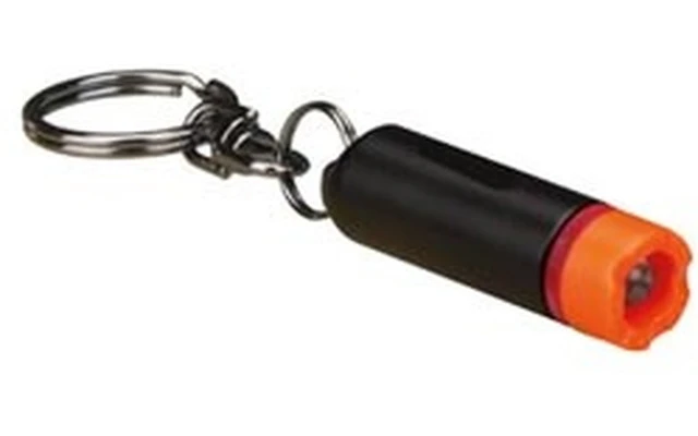 LLavero con micro linterna con LED