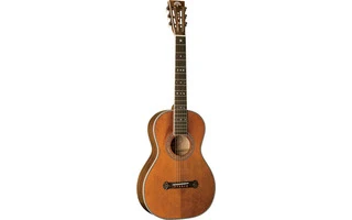 Washburn R314KK