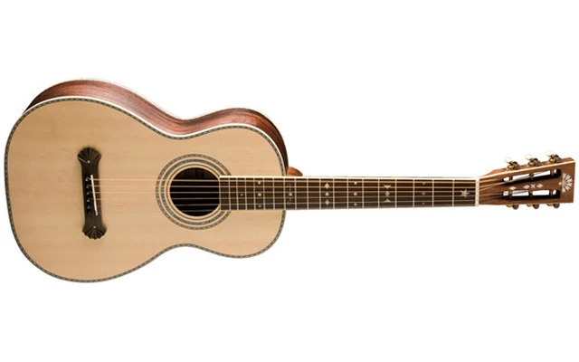 Washburn R-315 K Vintage