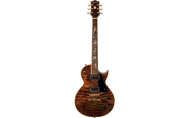 Jay Turser JT-220D Serpent Tiger Eye