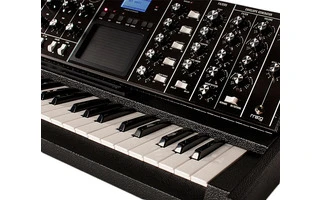 Moog Tolex Minimoog Voyager XL