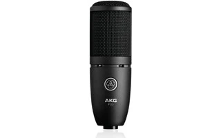 AKG P120