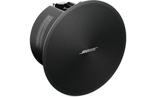 Bose DesignMax DM2C-LP