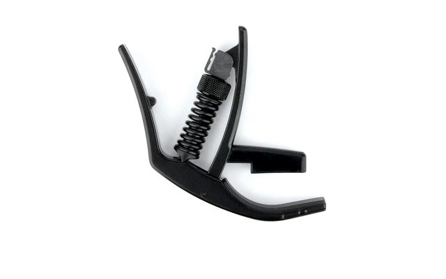 Planet Waves NS Artist DADGAD Capo