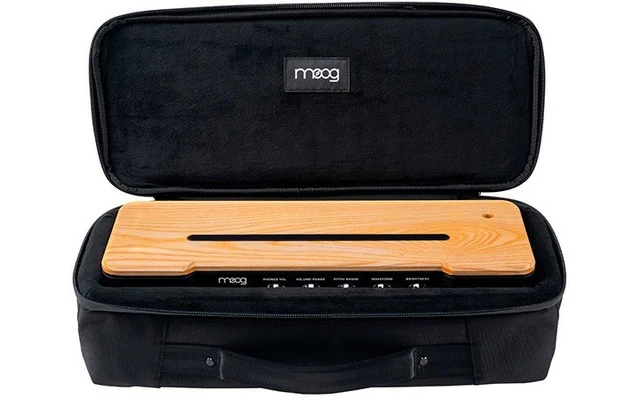 Moog Etherwave SR Case