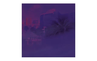 Serato Control Vinyl 10" - Purple (Pareja)