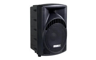 Caja acustica ABS profesional de 2 vías 10"