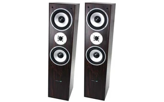 LTC Audio L766 Walnut (Nogal)