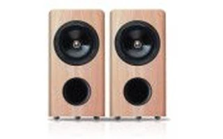 Pioneer S-81B-LR-QL Pareja