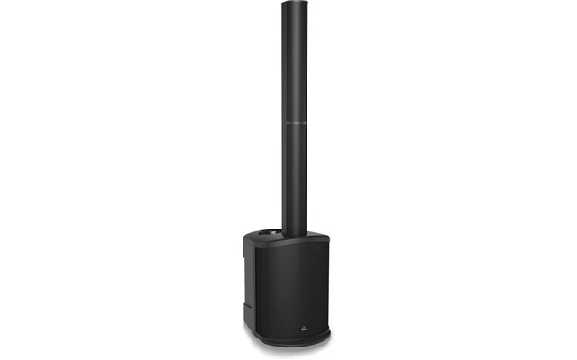 Behringer C210
