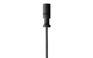 AKG LC 81 MD (negro)