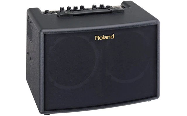 Roland AC-60 Acoustic Chorus Guitar Amplifier