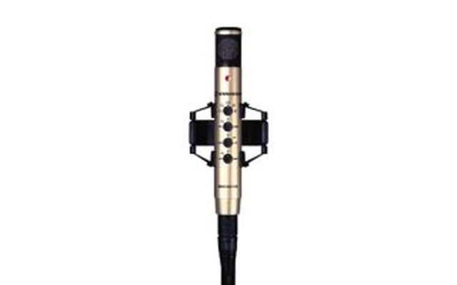 Sennheiser MKH-800-P48