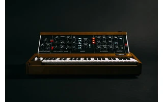 Moog MiniMoog Model D