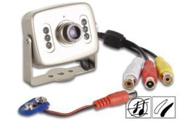 Camara B/N con 6 Leds ir