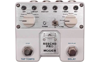 MOOER Reecho Pro Digital Delay