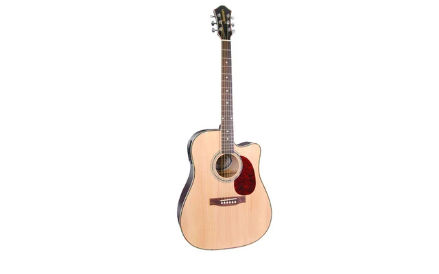 USB Electro Acoustic Guitar with Recording software USBAcoustic5