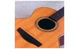 Barcus Berry 1460 Acoustic Thinline