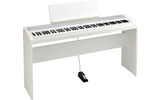 Korg B2+ SP White