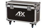 AFX Lighting FL-2X10R
