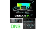 CEDAR PLUG-IN DNS-ONE Y DNS-TWO 
