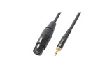PD Connex Cable XLR Hembra - Jack 3,5mm Estereo 0,5m