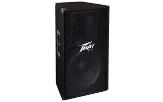 Peavey PV 115