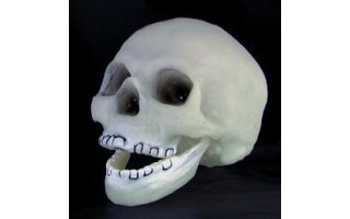 Imagenes de Calavera luz UV-Activa