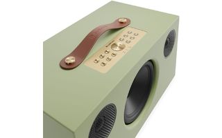 AudioPro C10 MkII Sage Green Limited Edition