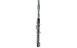 Imagenes de Bernard FLAUTIN  BFP-456