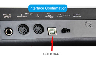 Cable OTG USB-c a USB B - Conexión USB MIDI Host