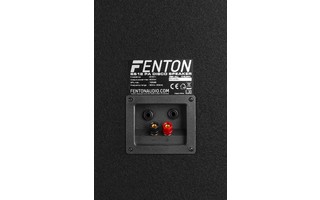 Fenton BS10 Black PA Speaker 10