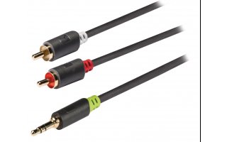 Cable de audio estéreo de 3,5mm macho a 2x RCA macho de 1,00 m en gris
