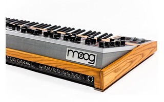 Moog One 16