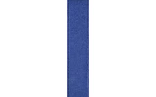 Planet Waves Planet Lock Leather Blue