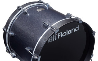Roland KD-200-MS 