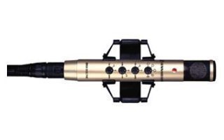 Imagenes de Sennheiser MKH-800-P48