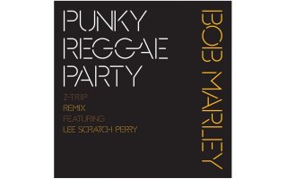Serato Pressings Bob Marley Punky Reggae Party (Pareja)