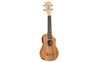 Tanglewood TWT1CE Cutway