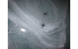 Telaraña - Spider Web - Naranja