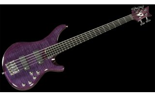 Imagenes de Vigier Arpege IV 5C Amethyst Purple - V5ECC AP