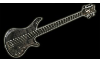 Imagenes de Vigier Passion IV 5C Black Diamond - VP5ECC BD