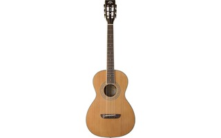 Imagenes de Washburn WP11SNS